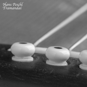 东北光头爆乳女王
